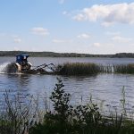 Niitot elokuussa 2022